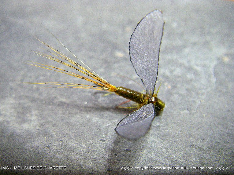 Huit femmes qui révolutionnent le monde de la pêche à la mouche