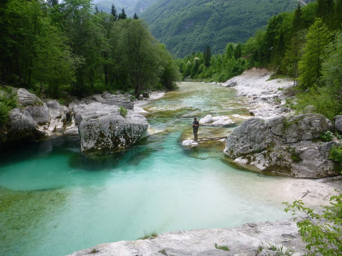 Pêche à la mouche en Slovénie : What Else - Mouches de Charette